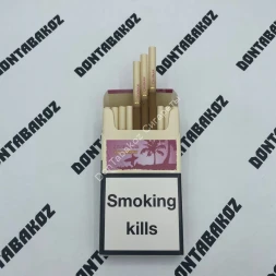 Сигареты Chapman Ice Berry SuperSlim Микс