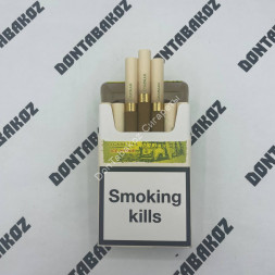 Сигареты Chapman Ice Apple King Size Оригинал Микс