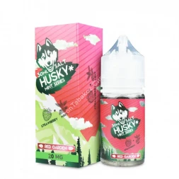 Жидкость для вейпа Husky Mint Series Red Garden 30 мл оптом