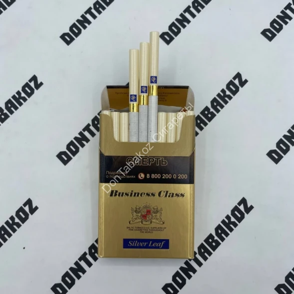Сигареты Business Class Silver Leaf Nano Микс 