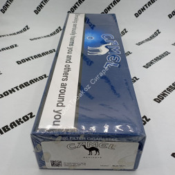 Сигареты Кэмел (Camel) Blu Duty Free Германия Оптом